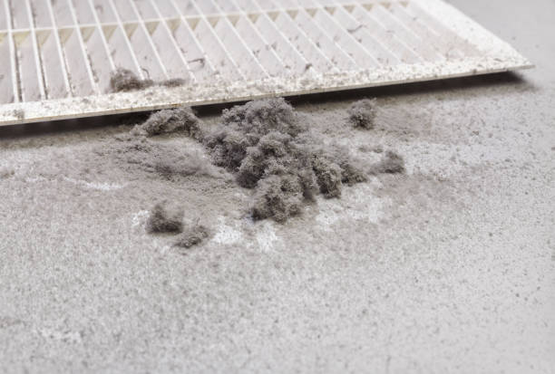 Best HVAC Maintenance and Cleaning  in Sheldon, TX