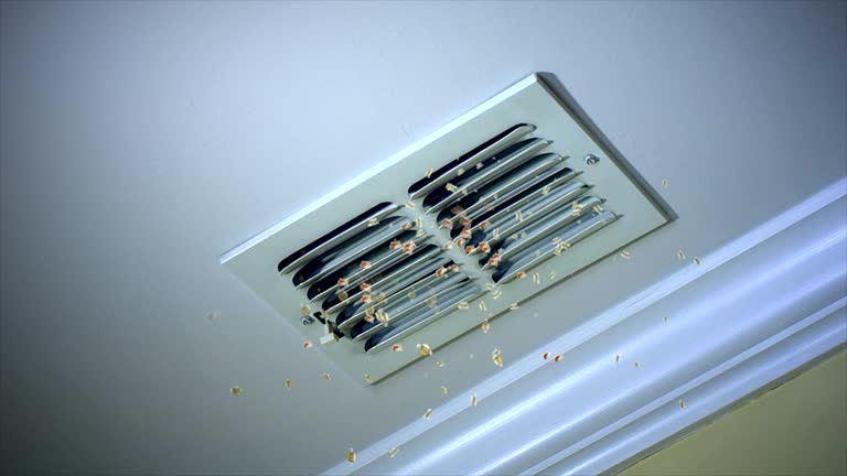Best Emergency Air Duct Cleaning  in Sheldon, TX