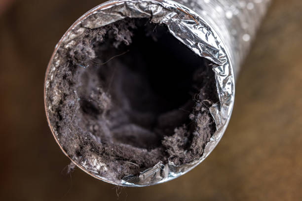 Best Local Air Duct Cleaning Services  in Sheldon, TX